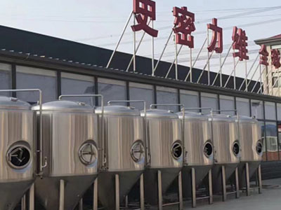 漯河精酿啤酒设备厂—市场规模与跨界新需求